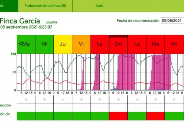 Papa: experiencias positivas gracias al uso de PhytoAlert