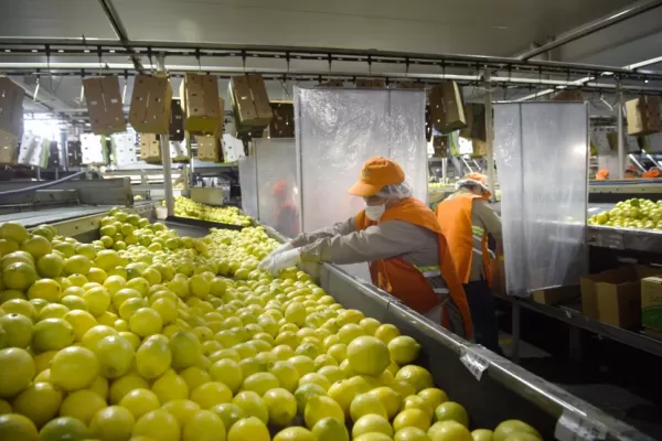 El campo y el comercio marcan el ritmo laboral