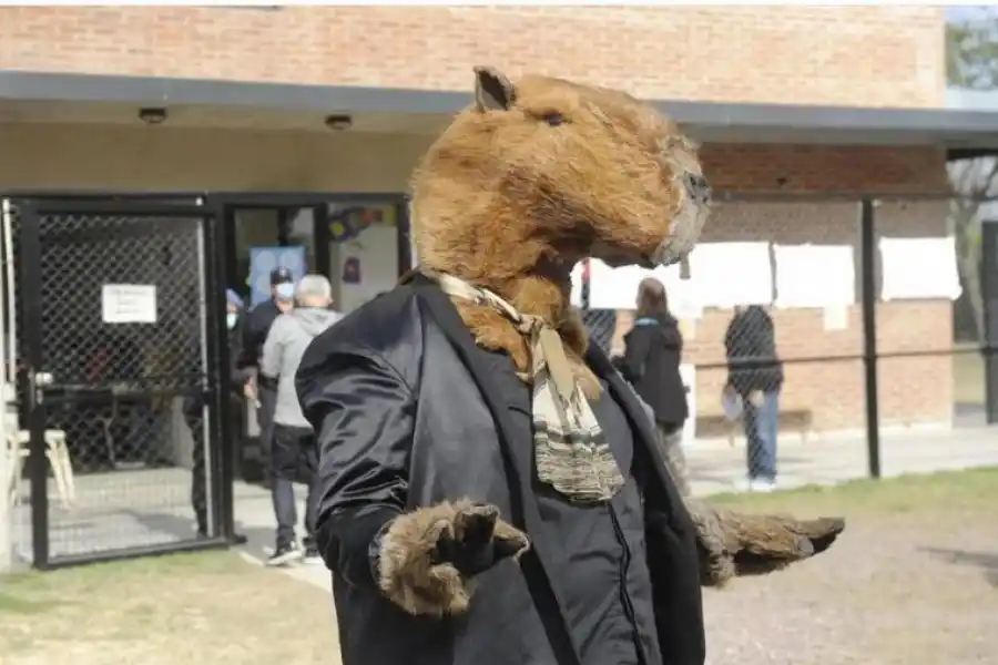 Un hombre fue a votar disfrazado de carpincho