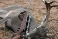 Aerolíneas no llevará más “trofeos de caza”