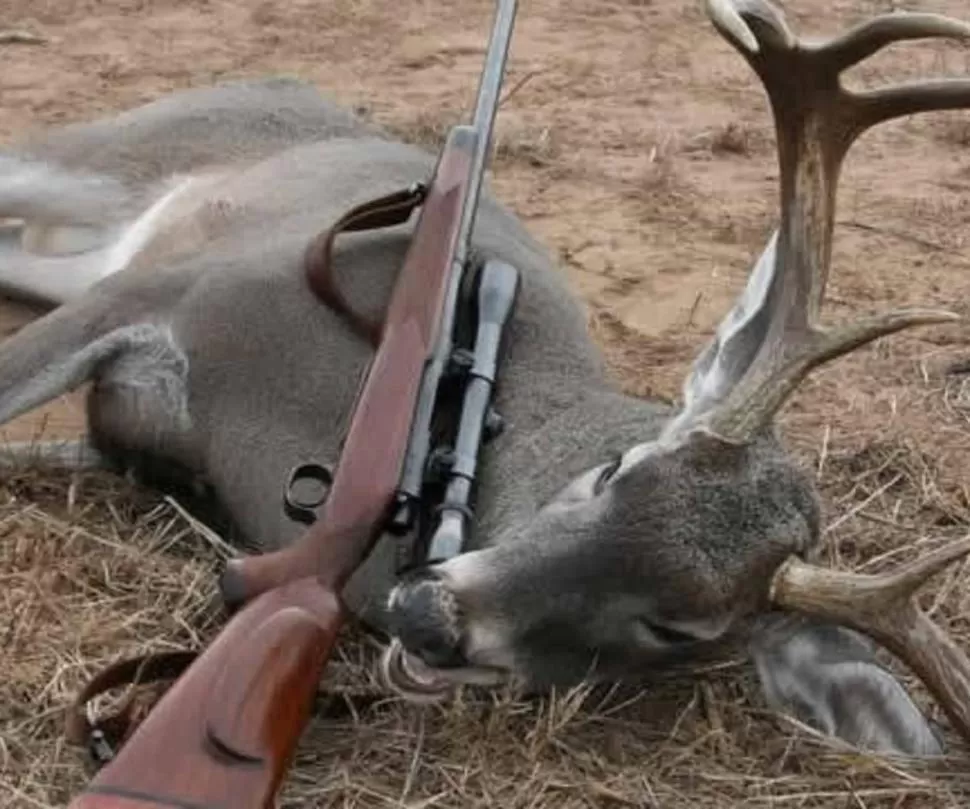 NO ALCANZA. La caza todavía sigue siendo legal en la Argentina.  
