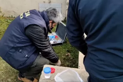 Macabro hallazgo en Balcarce: encontró restos de un miembro masculino frente a su casa
