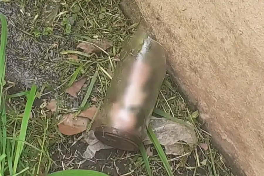 Macabro hallazgo en Balcarce: encontró restos de un miembro masculino frente a su casa