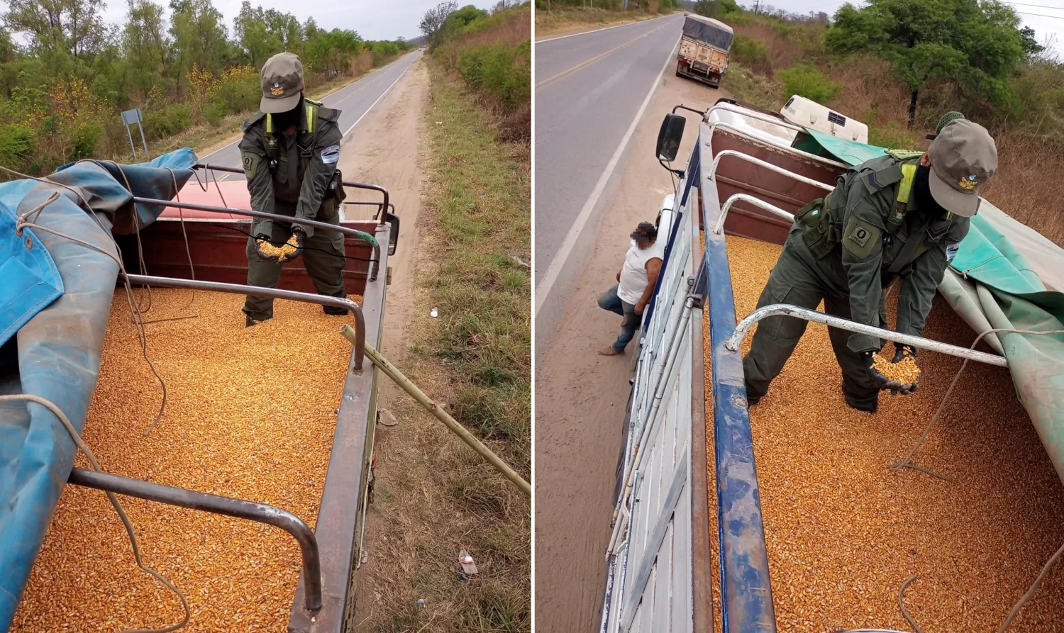 Decomisaron en Salta 180 toneladas de soja y maíz transportados ilegalmente