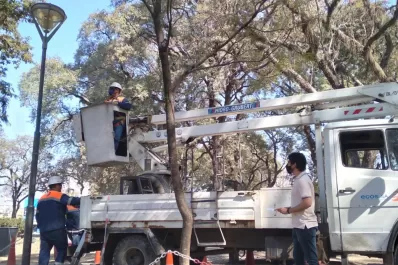 Denuncian que se robaron 1,5 kilómetros de cables del alumbrado público