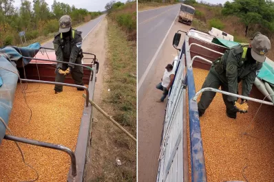 Decomisaron en Salta 180 toneladas de soja y maíz transportados ilegalmente