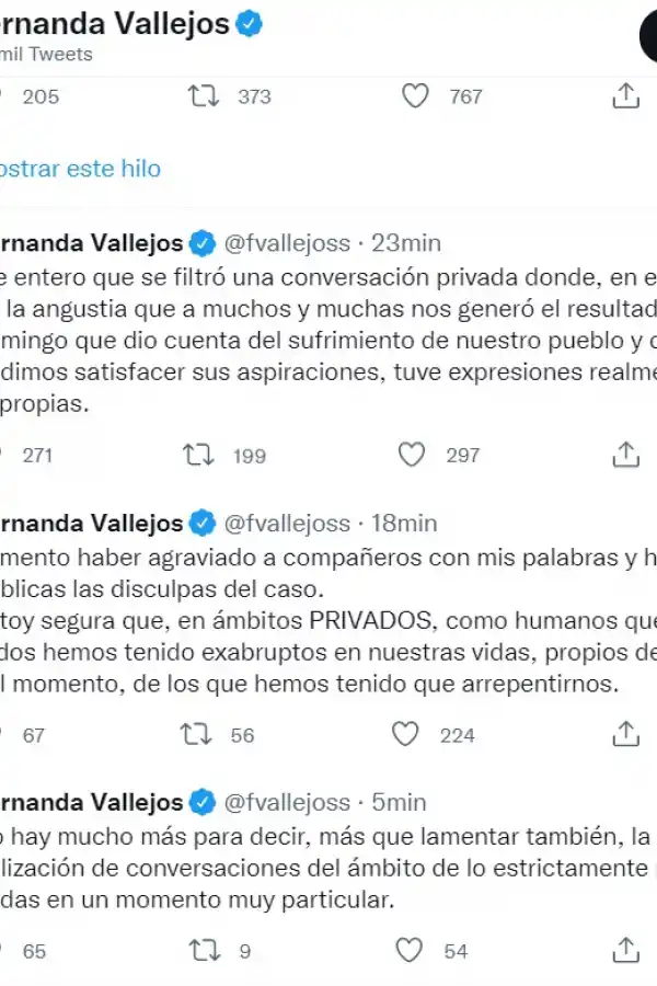 Una diputada K calificó de enfermo, ocupa y mequetrefe a Alberto Fernández