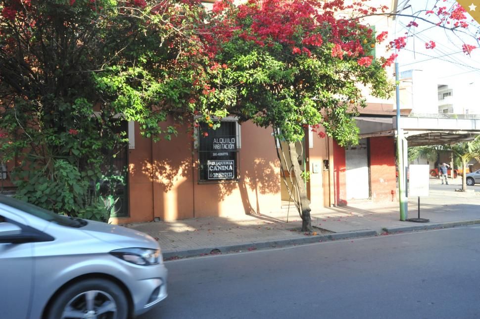 De empresario de la noche a líder de una red de trata - Vimarsana News