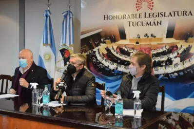 Presentan un proyecto para crear una comisión que estudie la Cuenta de Inversión de 2020