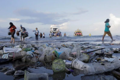 “Es una tragedia ambiental lo que está ocurriendo”