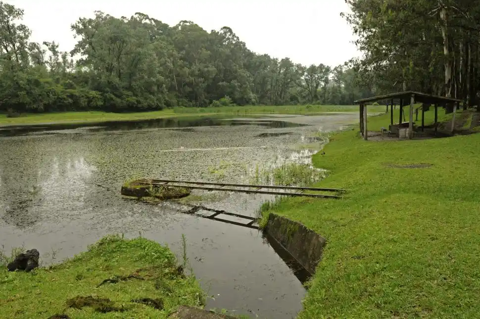 UN DIA CON NIEBLA EN SAN JAVIER. En este lugar, conocido como el camping El Lago, se puede hacer un picnic o utilizar las parrillas para un asado. ARCHIVO LA GACETA