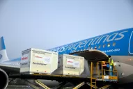 Con la expectativa en la vacunación de niños, Argentina recibió hoy más dosis de Sinopharm