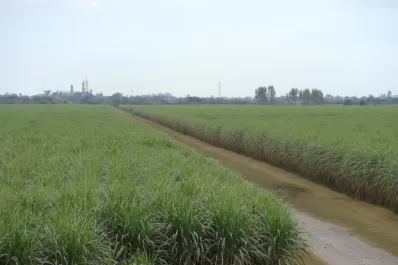 La Nación envía a Tucumán $112 millones para proyectos productivos del minifundio cañero