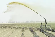 El mal olor otra vez invadió Tucumán y el aire se volvió irrespirable