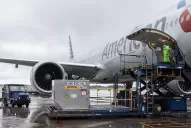 Hoy arriban a la Argentina 160.000 dosis de Pfizer y 820.000 de AstraZeneca