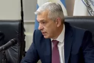 Si abrimos la exportación de la carne como nos piden, nos quedamos sin ganadería”, dijo Julián Domínguez