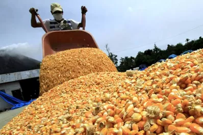 Derechos de exportación: expectativa entre productores tucumanos tras una decisión judicial