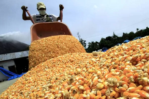 Derechos de exportación: expectativa entre productores tucumanos tras una decisión judicial