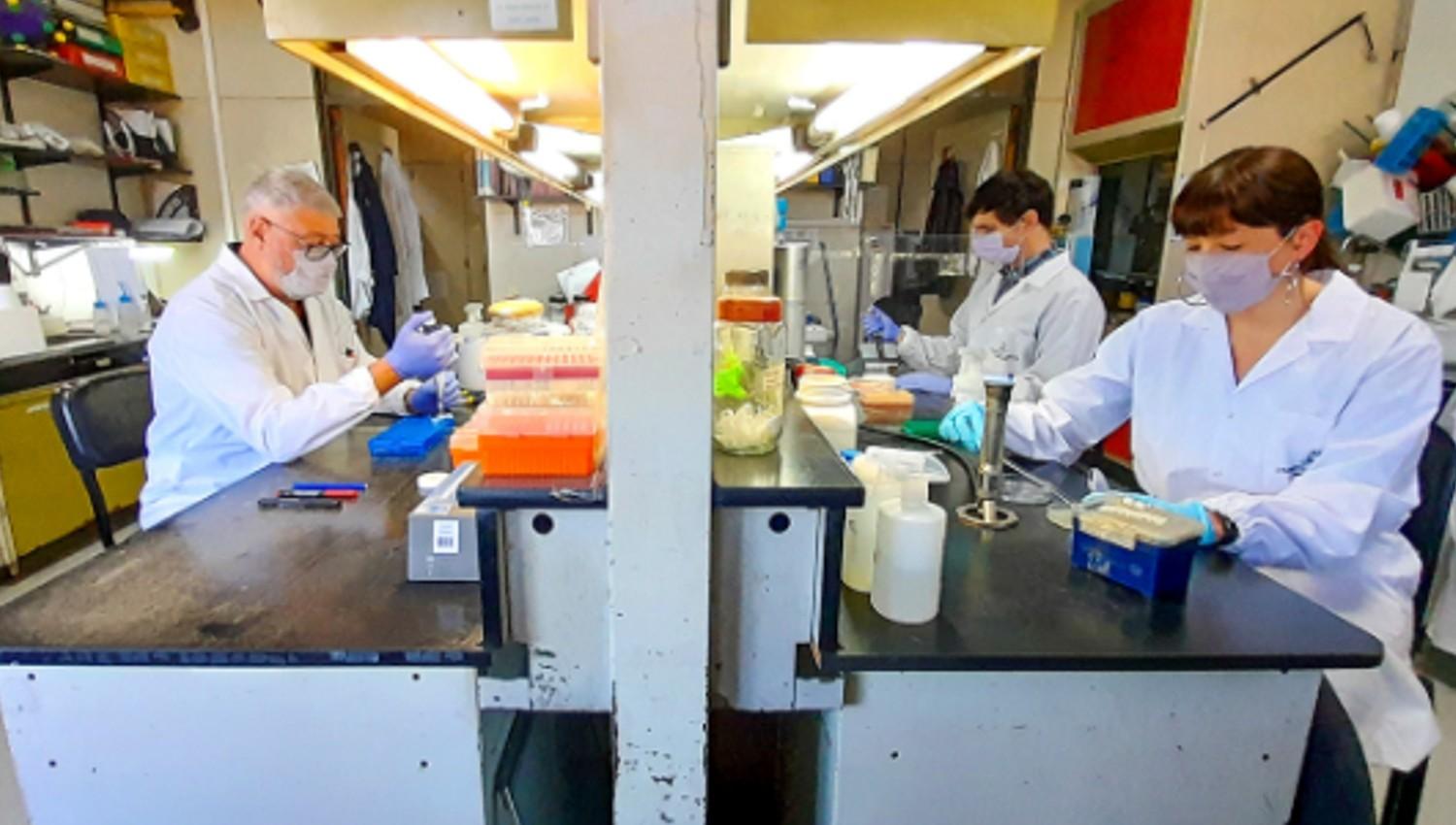 EN DESARROLLO. Investigadores del Laboratorio de Terapia Molecular y Celular del Instituto Leloir, en pleno desarrollo de la vacuna CoroVaxG.3.
