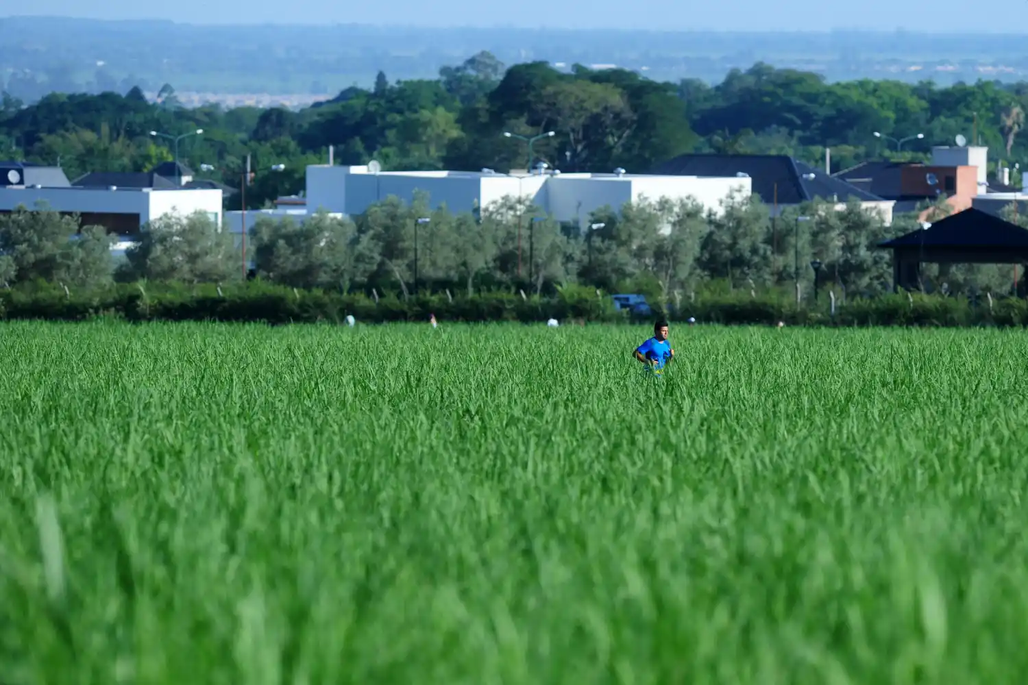 Una hormona que se produce al ejercitar podría ayudar a alterar el curso del Alzheimer