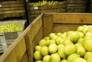 Veinte logros para comprender el valor de este centro científico y técnico agroindustrial