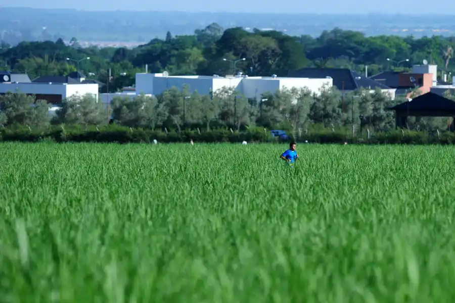 Una hormona que se produce al ejercitar podría ayudar a alterar el curso del Alzheimer