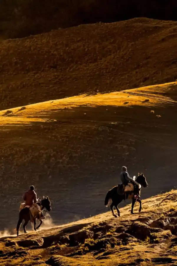 CABALGATAS. Una opción para hacer recorridos. 