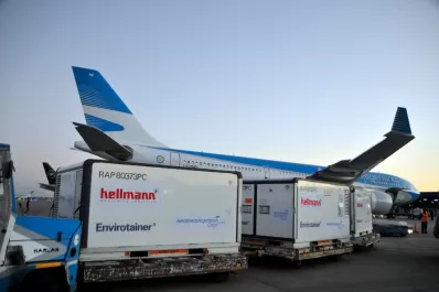 Llega al país un lote de 1 millón de vacunas de Sinopharm para niños de tres a 11 años