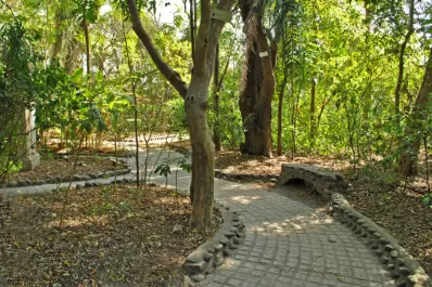 Reabrieron el Museo y el Jardín Botánico de la Fundación Miguel Lillo