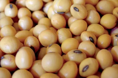 Rosario: se registraron subas en la soja y en el trigo