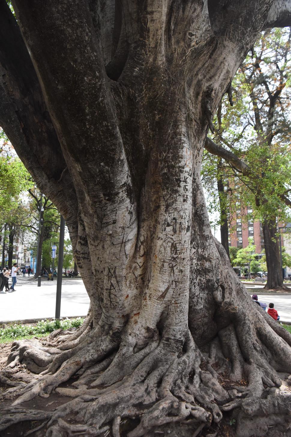  LA GACETA/ FOTOS DE analía jaramillo 