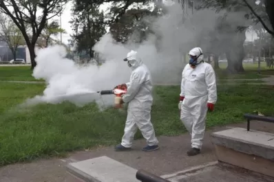 Operativos ante casos sospechosos de dengue