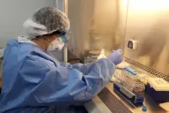 En el Siprosa estiman que ya hay circulación comunitaria de la variante Delta en Tucumán