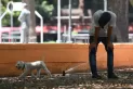 Cómo prevenir el golpe de calor en los niños y en los bebés
