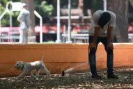 Cómo prevenir el golpe de calor en los niños y en los bebés