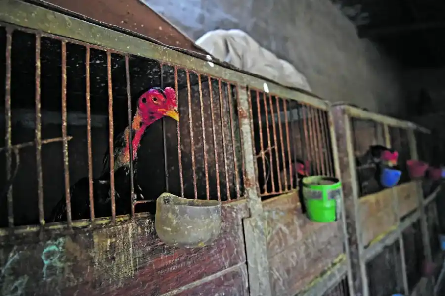  LA GACETA / FOTOS DE ANALIA JARAMILLO