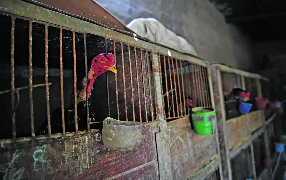  LA GACETA / FOTOS DE ANALIA JARAMILLO