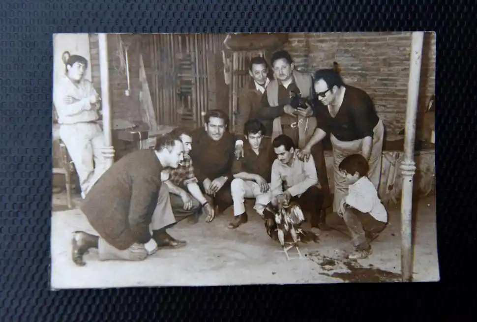 LA FAMILIA. Luciano Villeco, Walter Gómez y Pepe Villeco muestran con amor y orgullo algunos gallos de riña.
