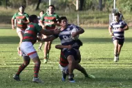 Macome: “aún podemos seguir creciendo”