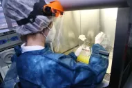 Tucumán no reportó muertes por coronavirus por cuarto día consecutivo