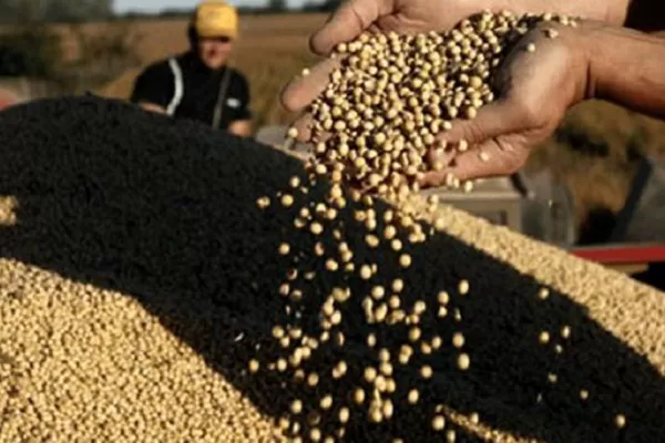 Precio Soja Precio Maiz Bolsa De Rosario Rosario: La Soja Subió U