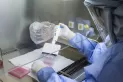 Salta: detectaron 25 nuevos casos de la variante Delta de coronavirus