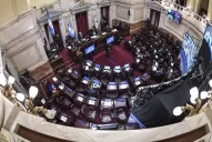 Conflicto mapuche: Senadores de Juntos por el Cambio piden citar a Aníbal Fernández al Congreso