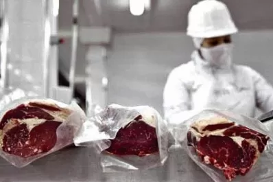 Carne bovina: las exportaciones crecieron un 16% en septiembre