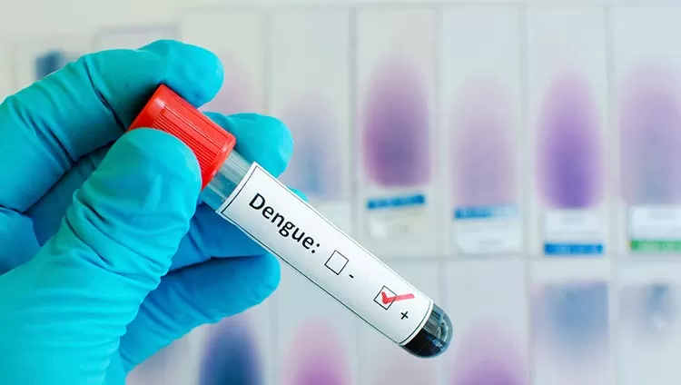 ¿Por qué hasta ahora no teníamos una vacuna segura contra el dengue?      
