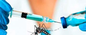Una vacuna contra    el dengue demostró      alta efectividad