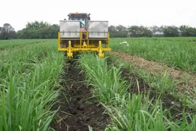 El gobierno amplía las importaciones para algunas industrias:  autopartes, fertilizantes y fitosanitarios