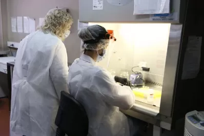 Tucumán: Los casos de covid-19 entre trabajadores de la salud crecieron el 50% en ocho meses