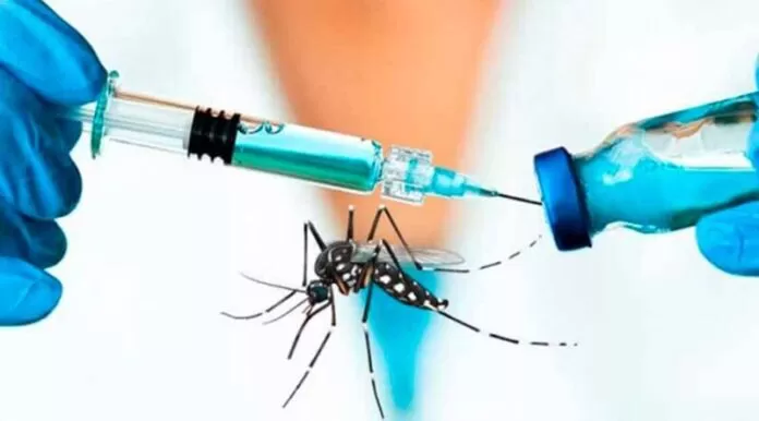 Una vacuna contra    el dengue demostró      alta efectividad