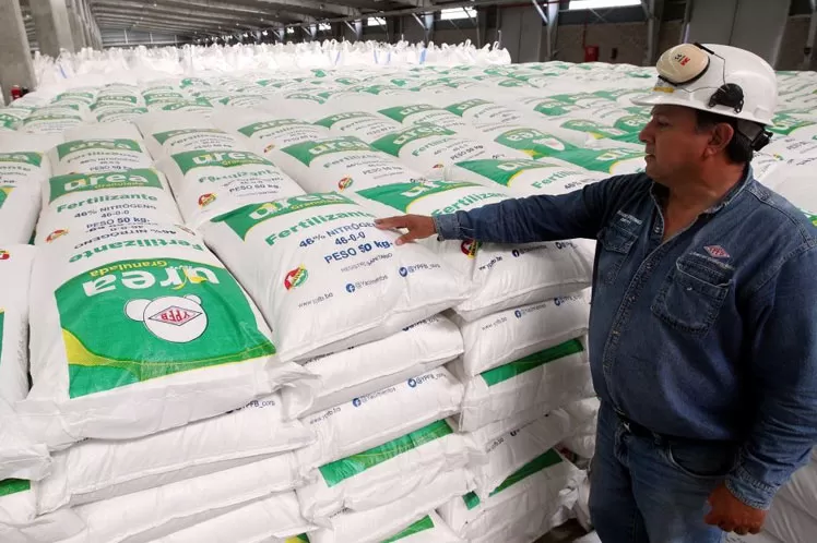 PRECIO. El valor de los fertilizantes subieron en pesos y en dólares.  